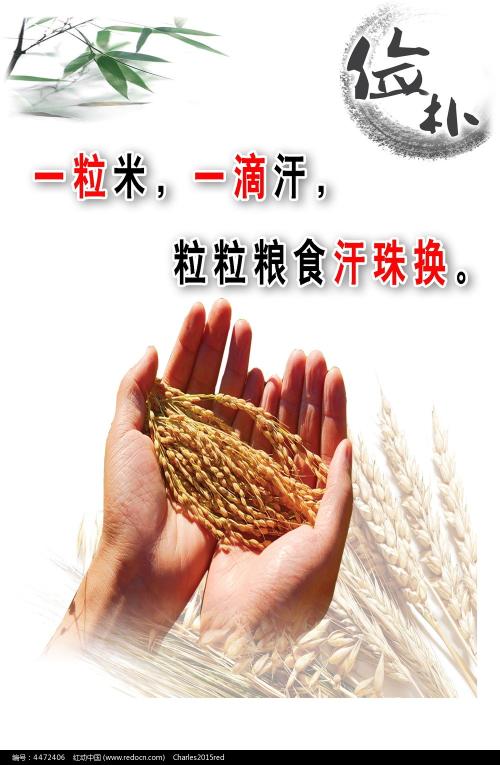 仿制韩国国立群山大学学位证